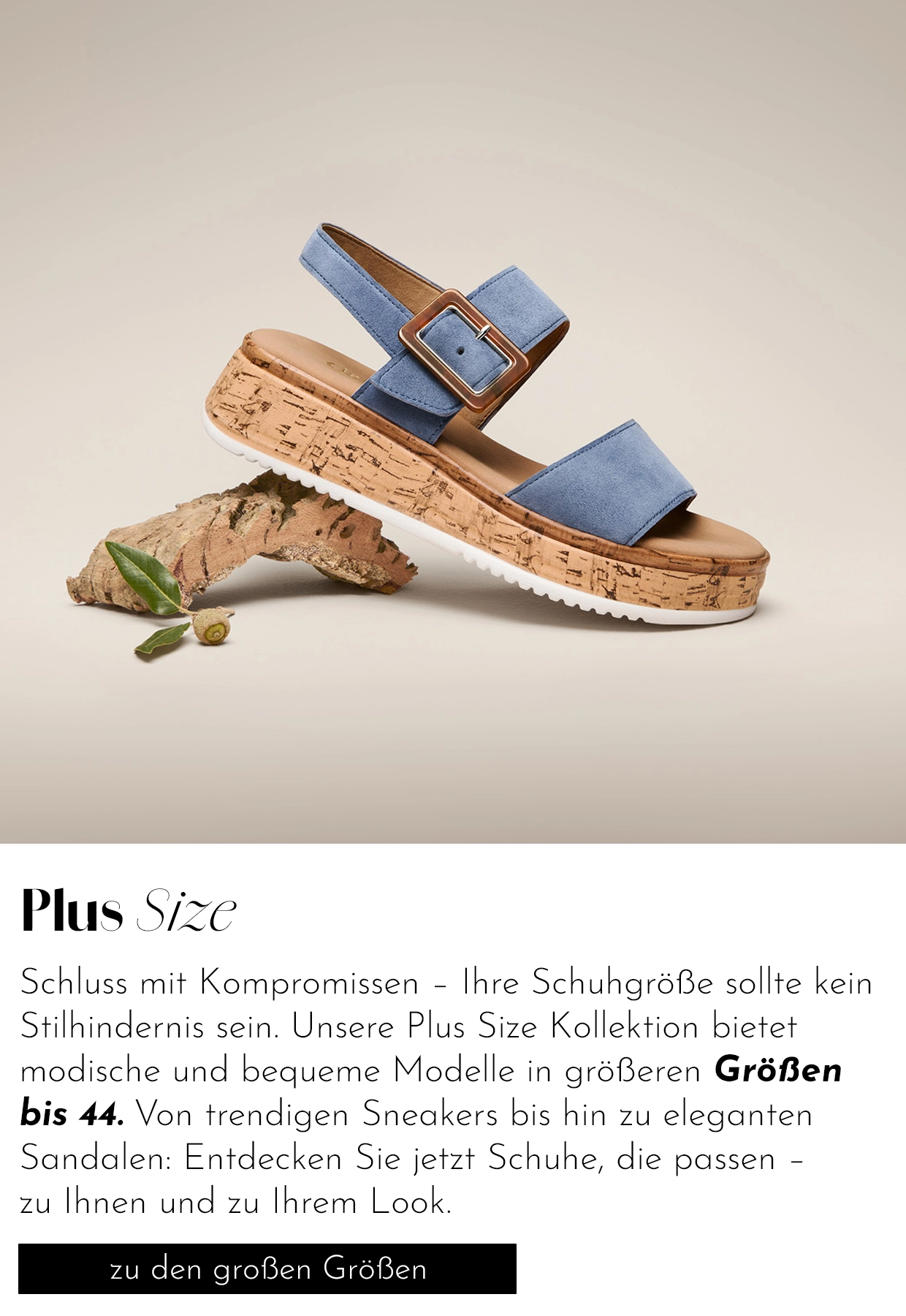 Plus Size Shoes