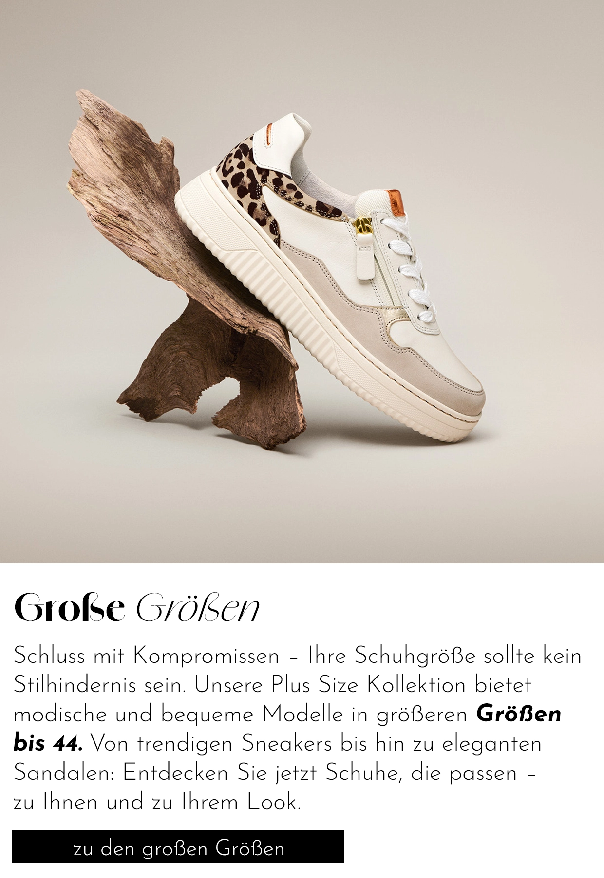 Plus Size Shoes