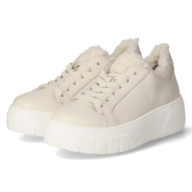 Low Sneaker - panna