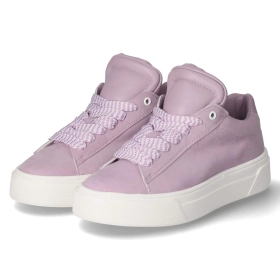Low Sneaker - lila