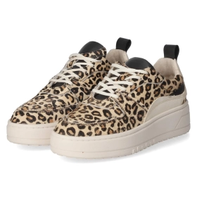 Low Sneaker - Abricot/Black/ Vanilla