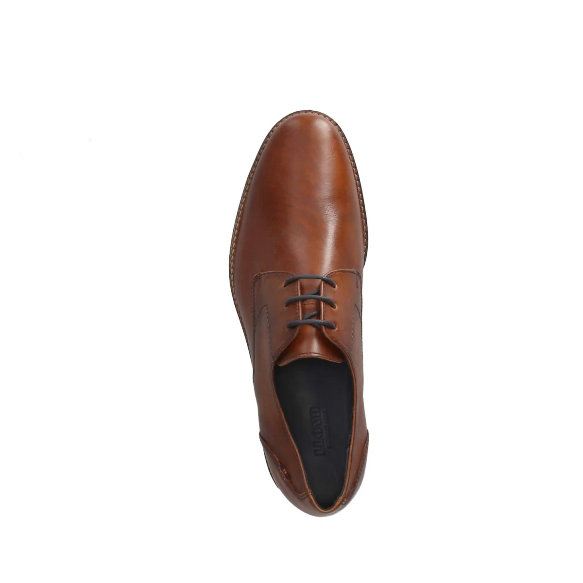 Halbschuhe LANGSTON - Cocos