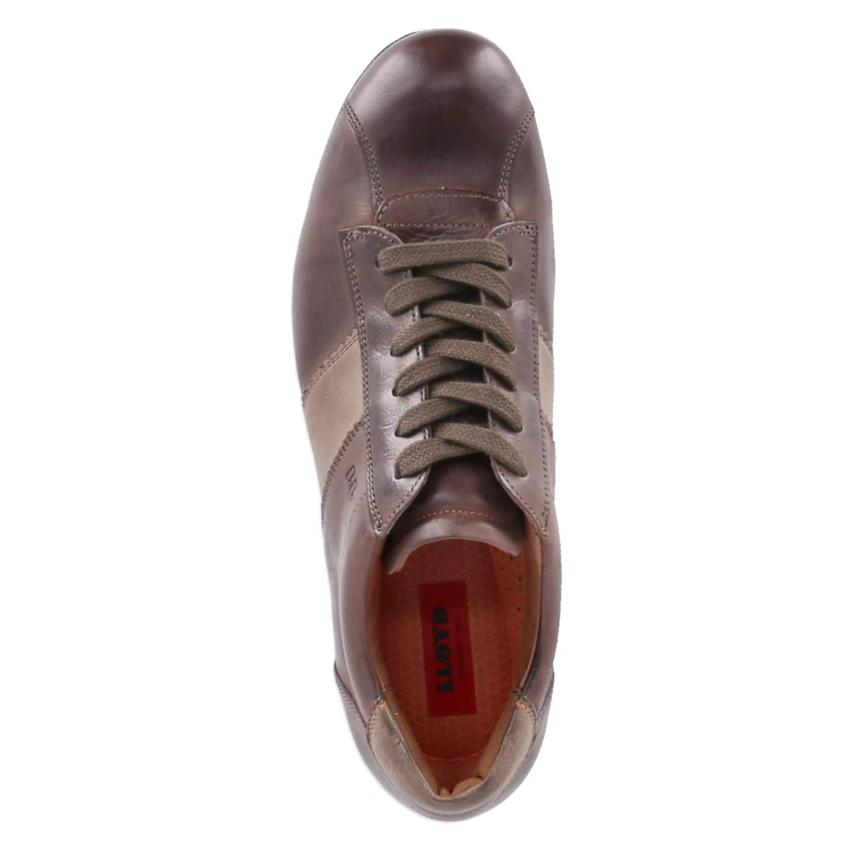 Low Sneaker BARKER - 5 - EBONY/OLIVE