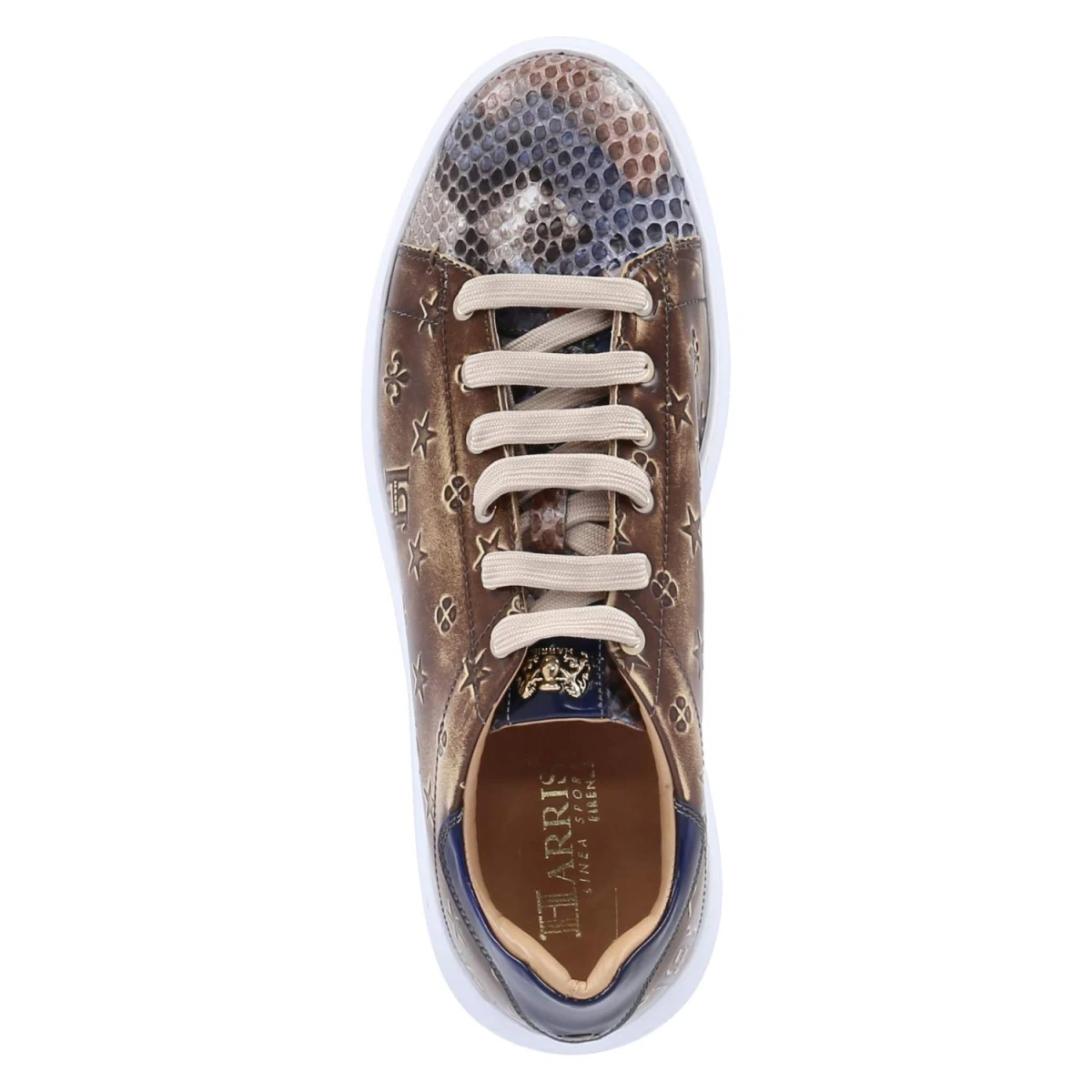 Low Sneaker PAUL - DATTERO
