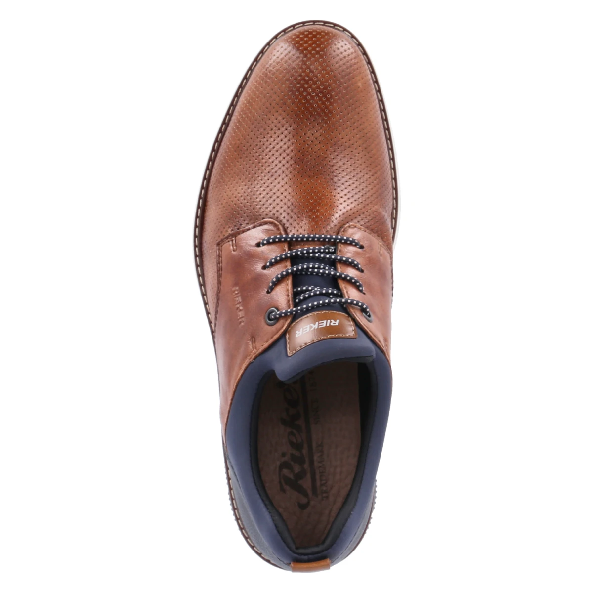 Halbschuhe - nuss/lake/navy/amaretto