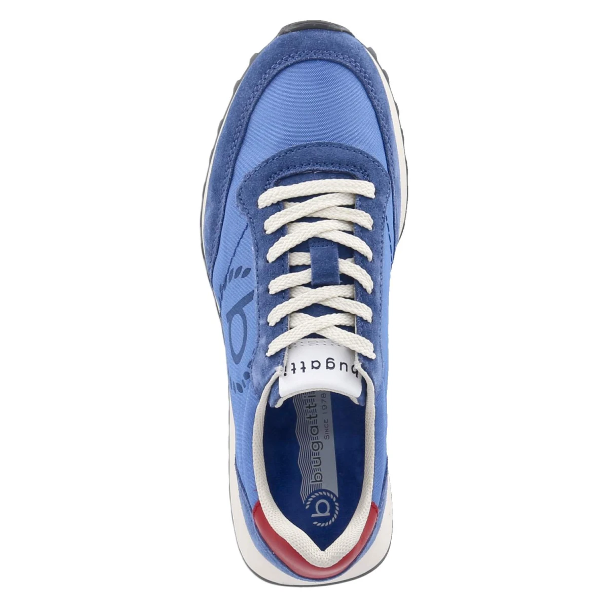 Low Sneaker - blue/blue