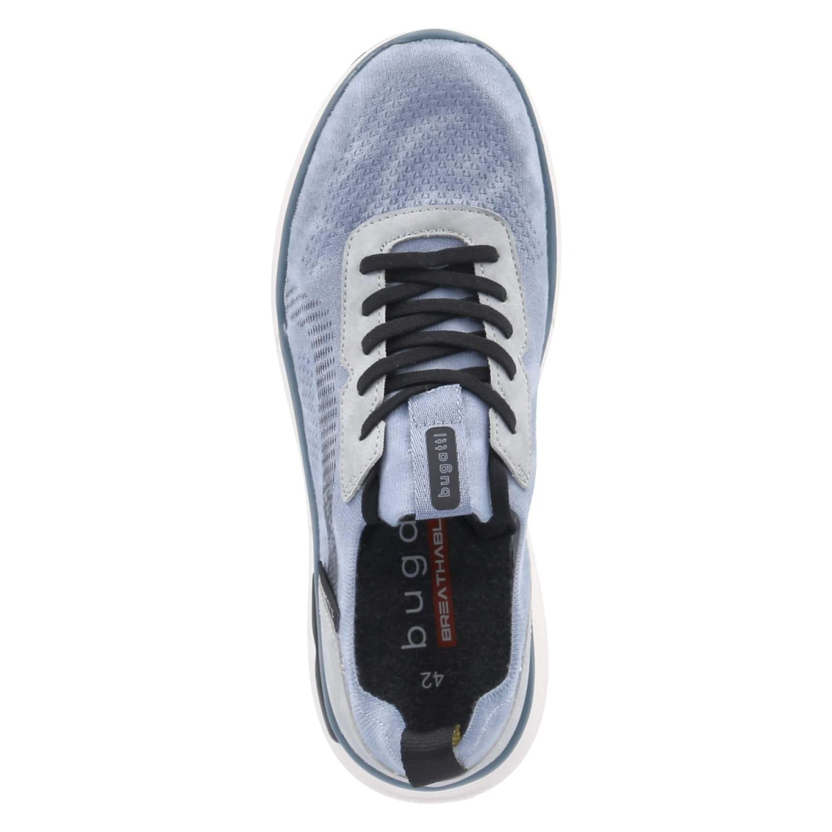 Low Sneaker - blue