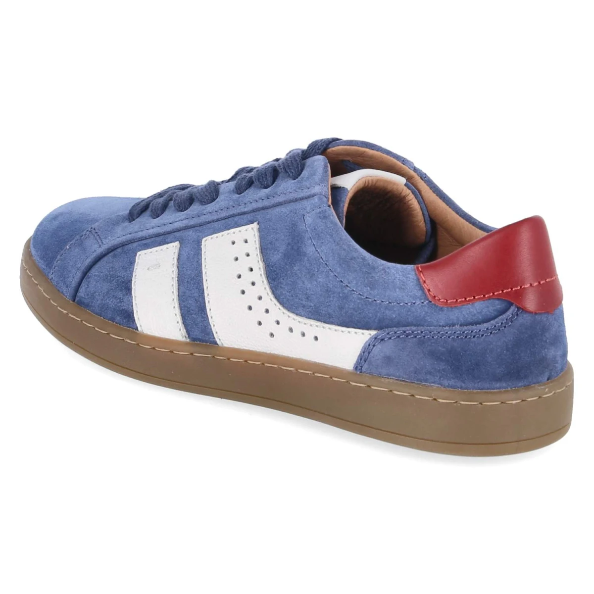 Low Sneaker LIO 07 - shark-multi