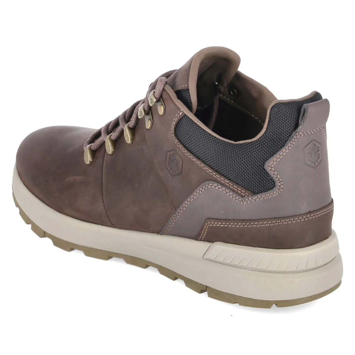 Halbschuhe DOMINIC - D BROWN