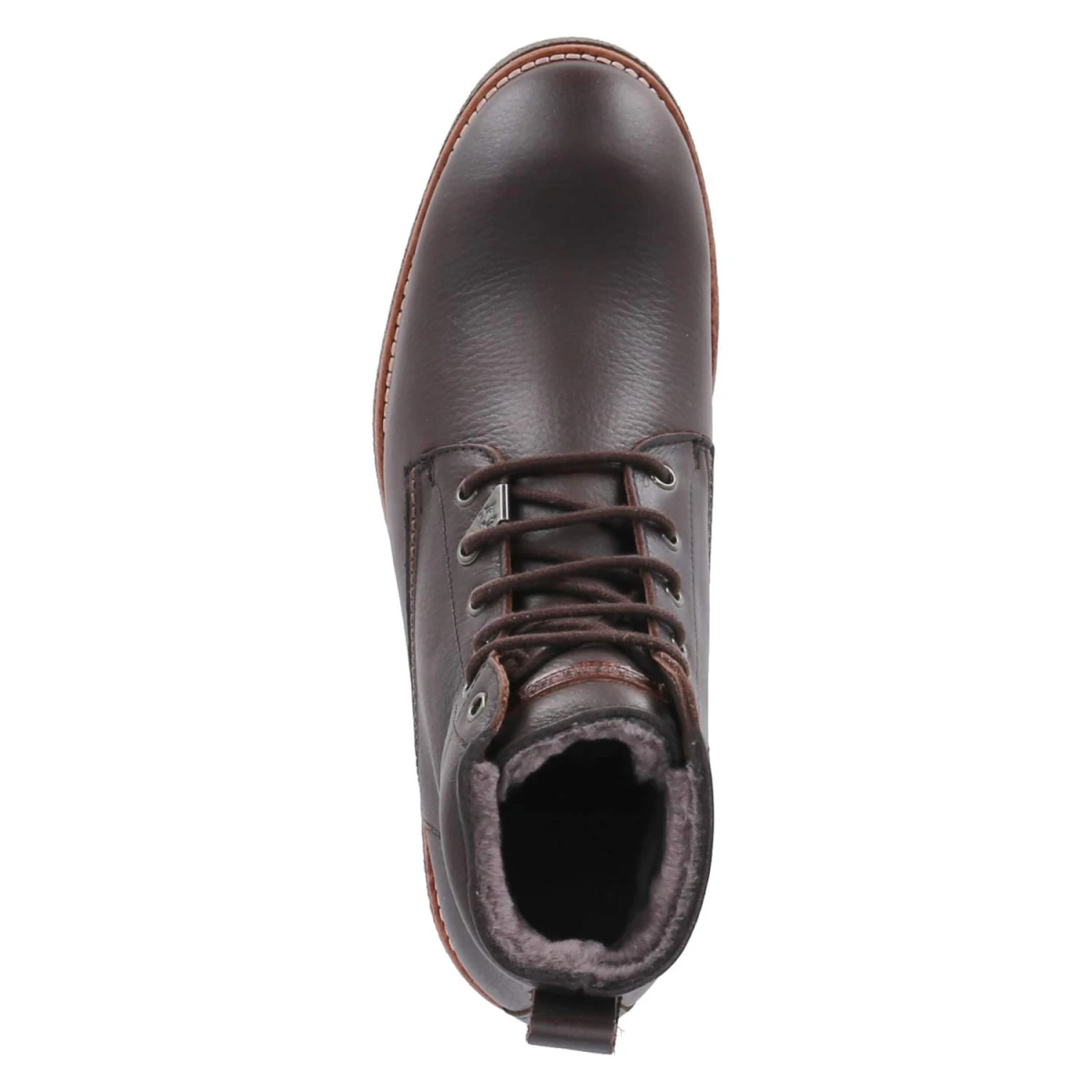 Winterboots GLASGOW IGLOO - marron / brown