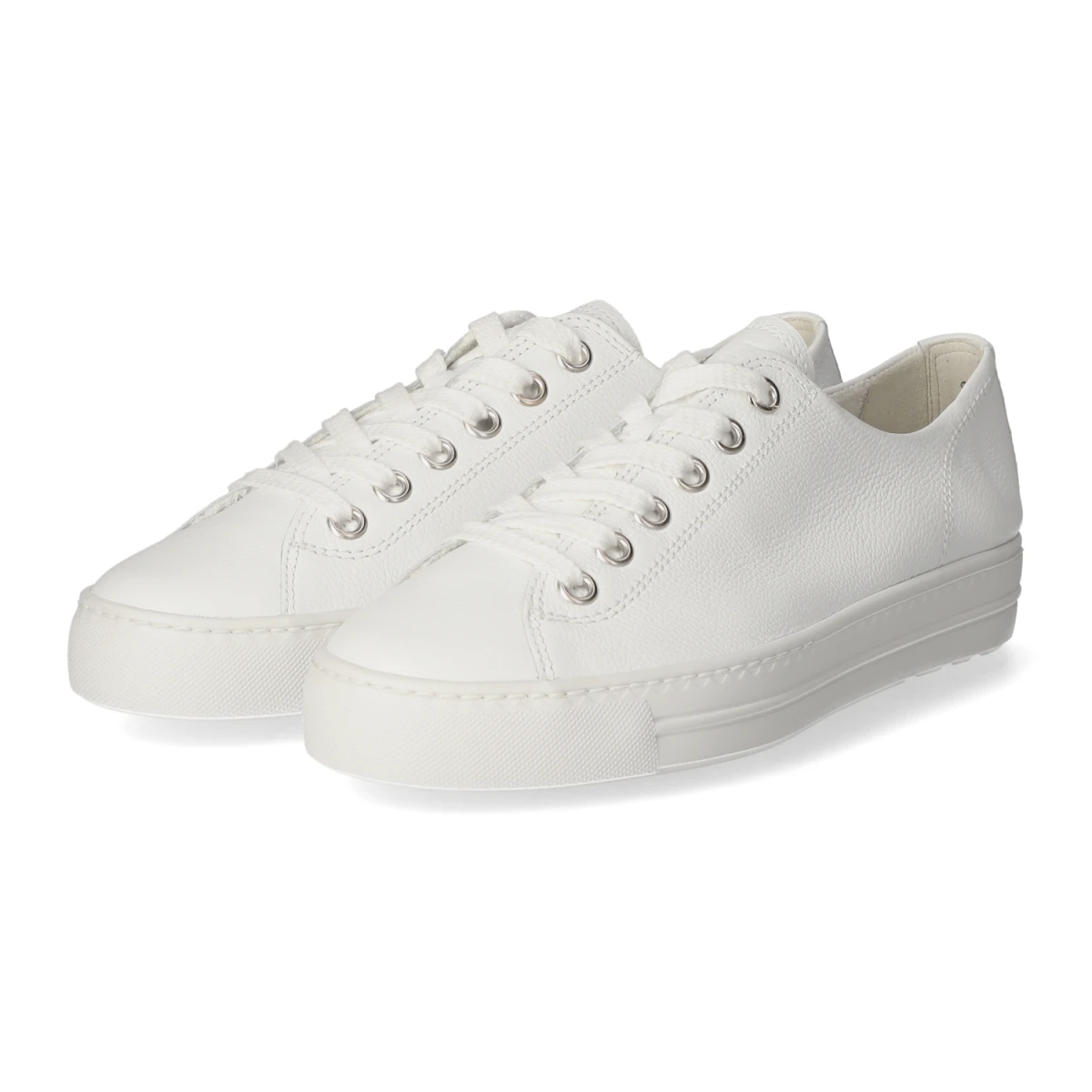 Low Sneaker - WHITE/SILVER