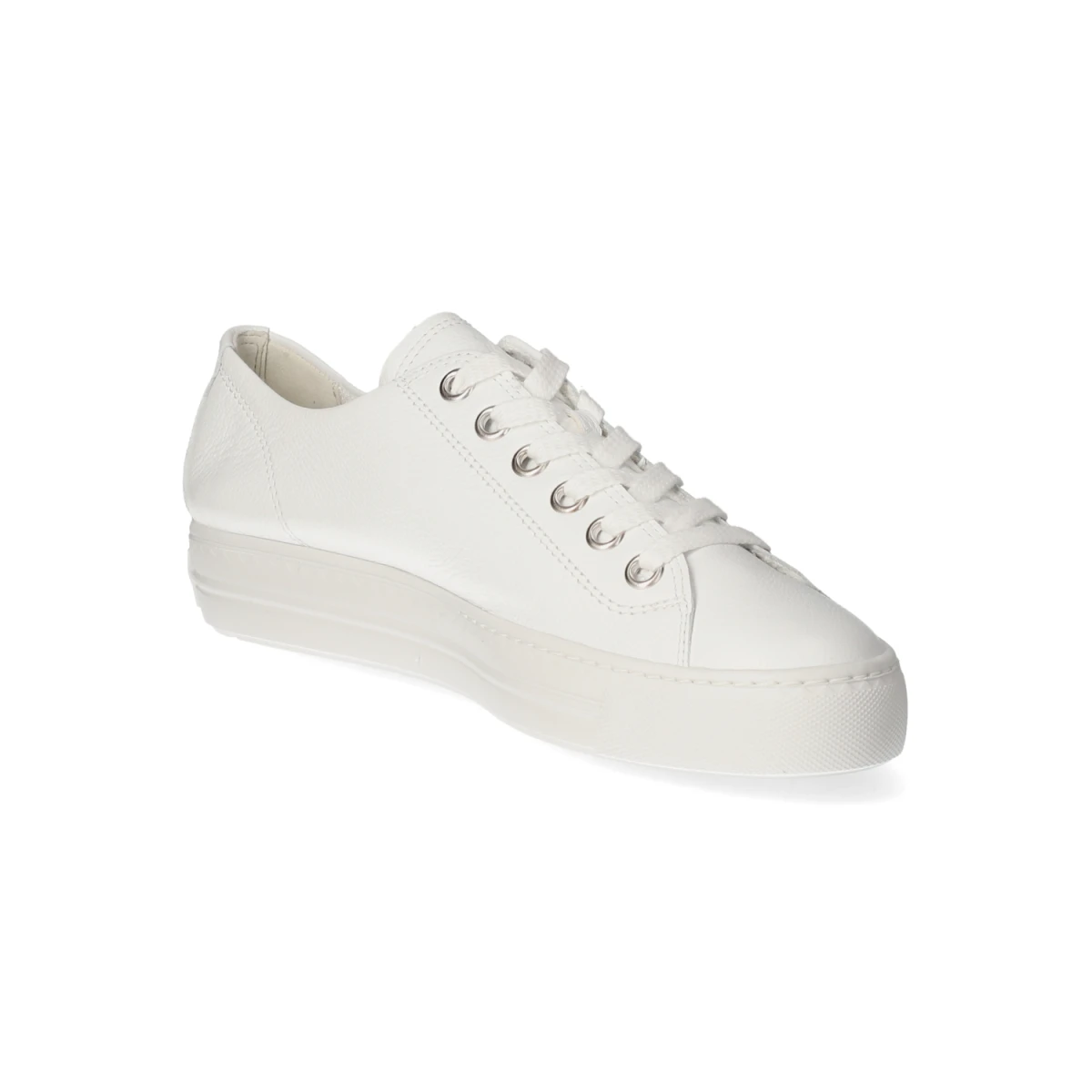 Low Sneaker - WHITE/SILVER