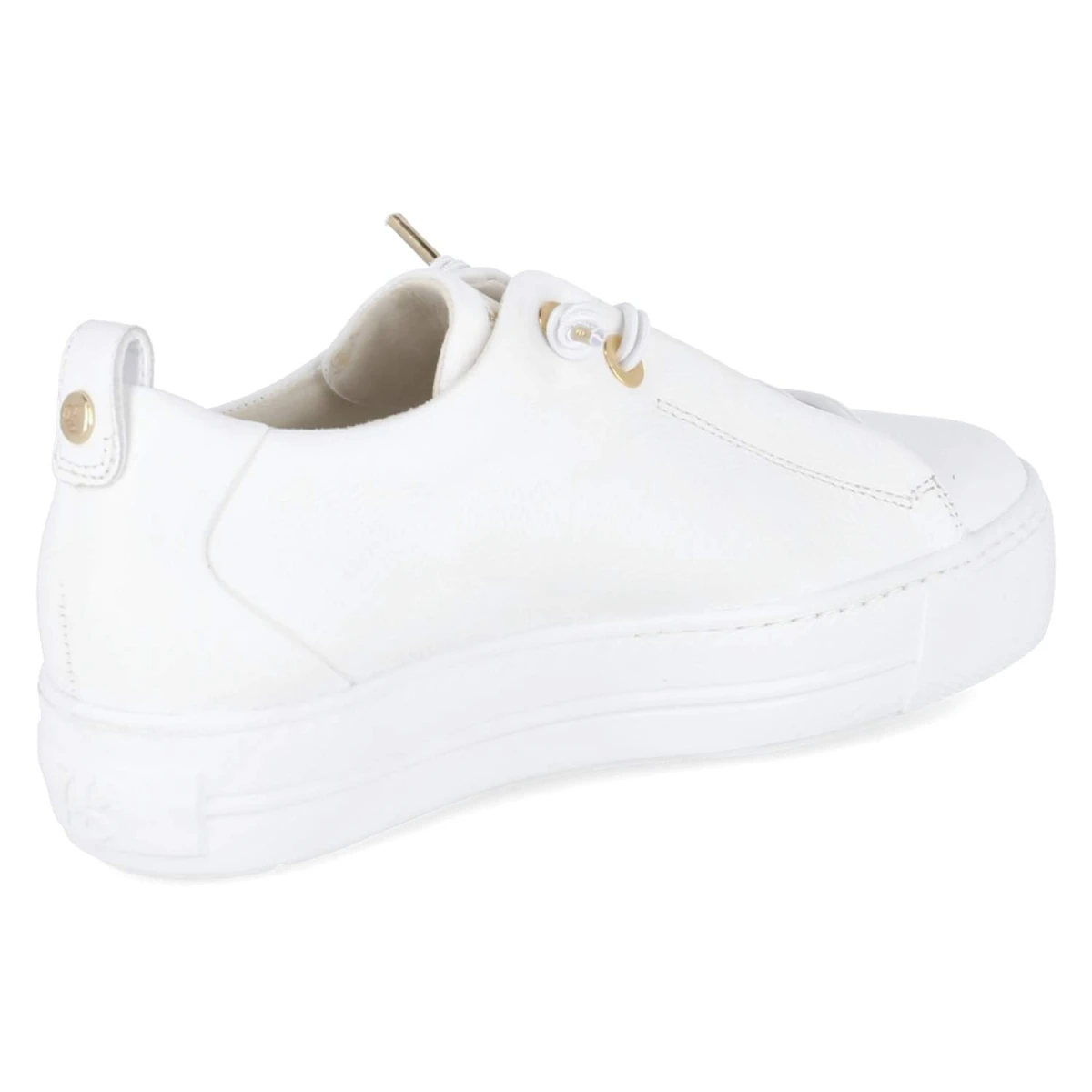 - WHITE/OFFWHITE