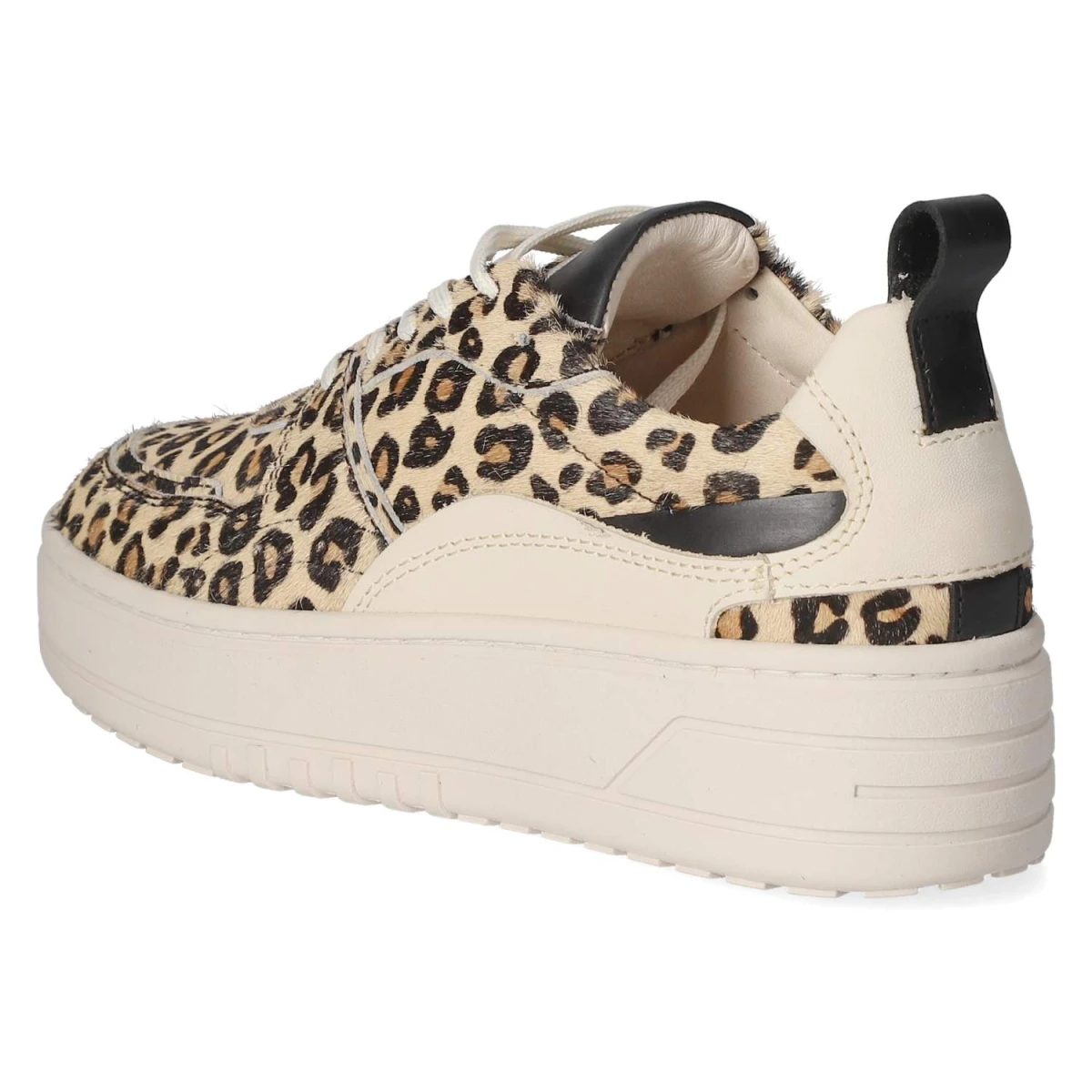 Low Sneaker - Abricot/Black/ Vanilla