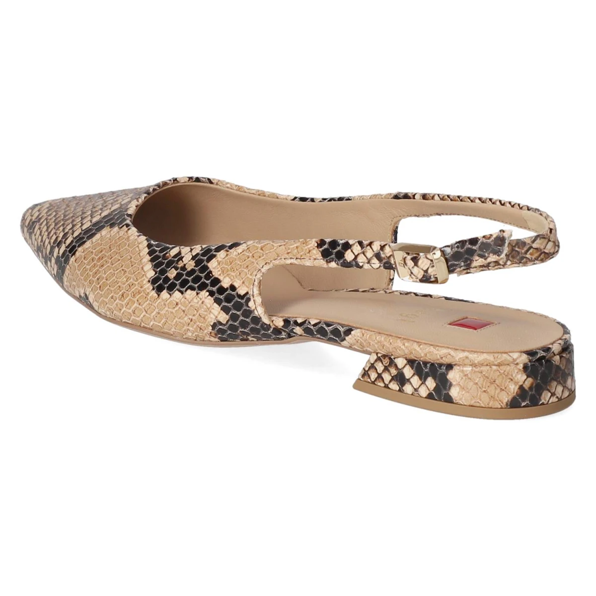 Slingballerinas - CAMEL