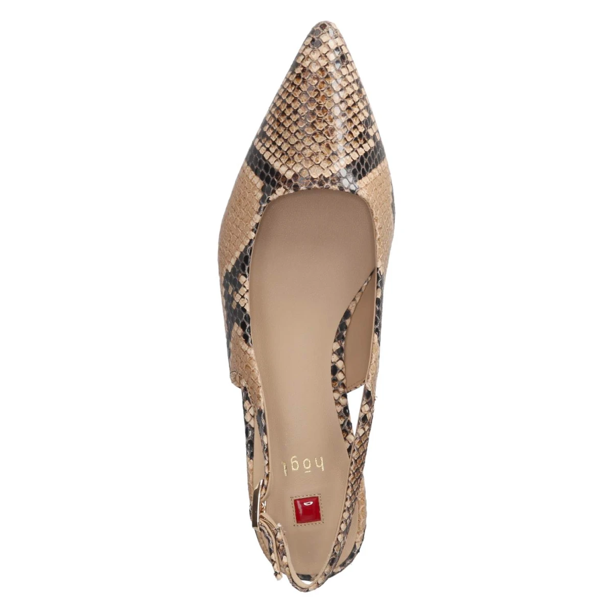 Slingballerinas - CAMEL