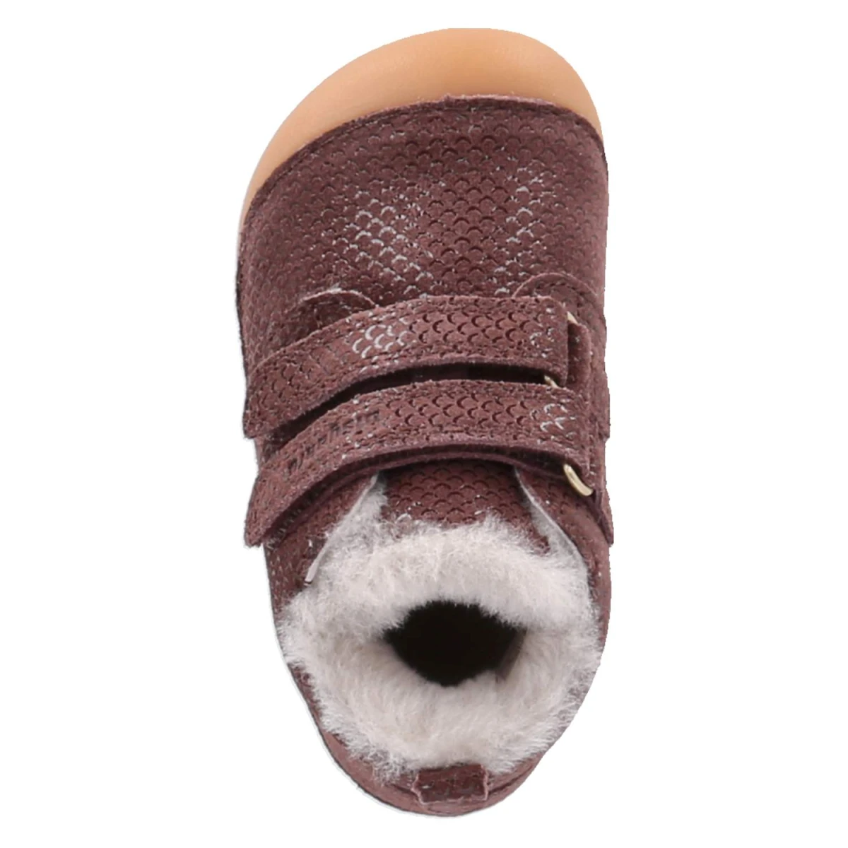 Barfuß-Klettschuhe CARTER LAMB BAREFOOT - plum